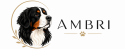 logo 180x60 transparent